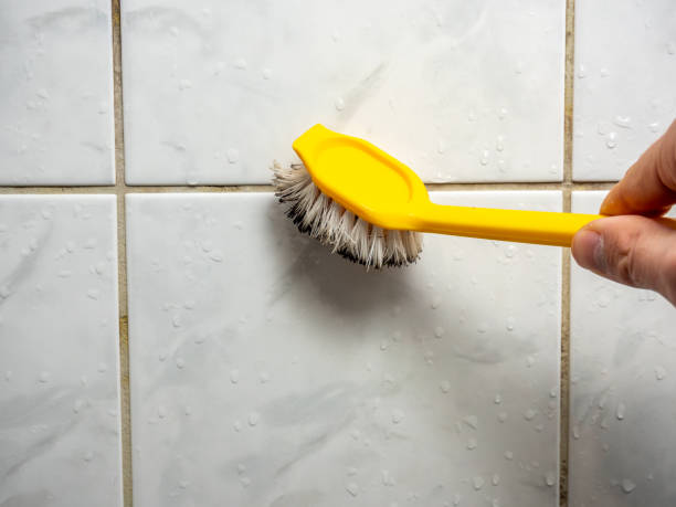 Best Attic Mold Removal  in Lifornia City, CA