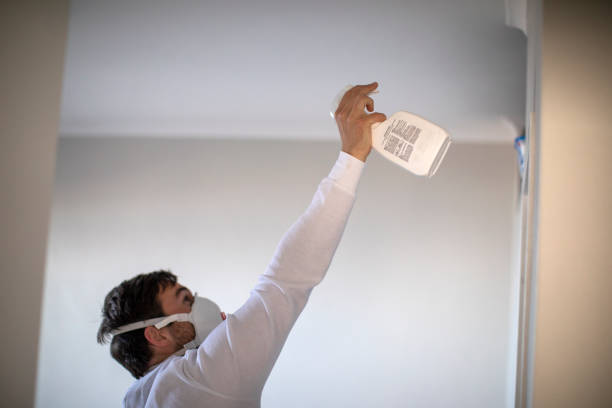 Best Mold Cleaning Services  in Lifornia City, CA